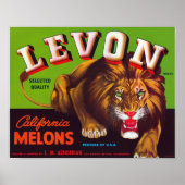 Levon California Melons Poster (Voorkant)