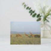 Lewa Wildlife Conservancy, Kenia Briefkaart (Staand voorkant)