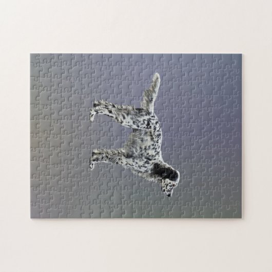 Lewellin Setter Legpuzzel (Horizontaal)