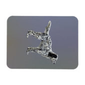 Lewellin Setter Magneet (Horizontaal)