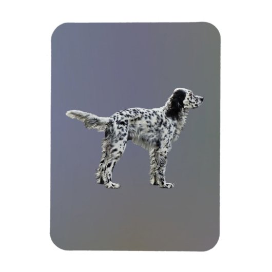 Lewellin Setter Magneet (Verticaal)