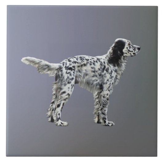 Lewellin Setter Tegeltje (Voorkant)