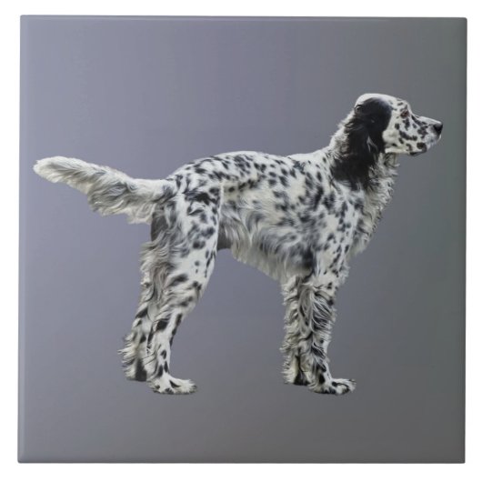 Lewellin Setter Tegeltje (Voorkant)