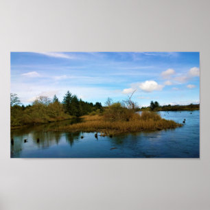 Lewis & Clark River, OR Poster