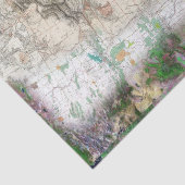 Lewis en Clark Tissuepapier (Detail)