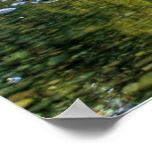Lewis River Herfst Poster (Hoek)
