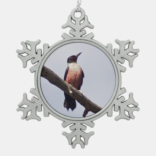 Lewis' Woodpecker Tin Sneeuwvlok Ornament (Voorkant)