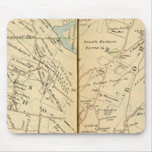 Lewisboro, New York Muismat