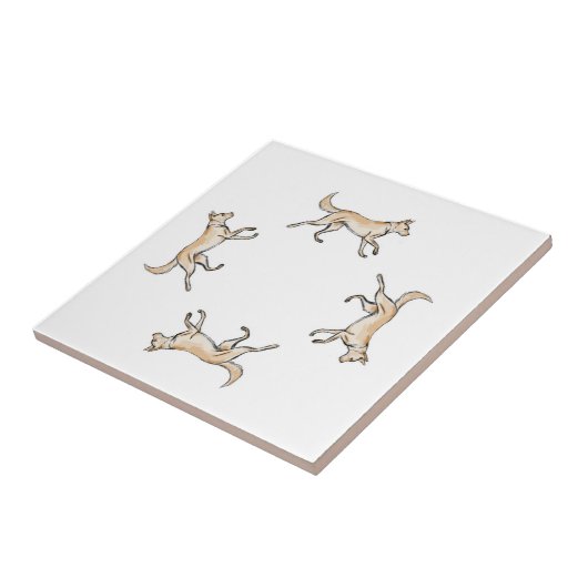 Lexi Trot Tegeltje (Zijkant)