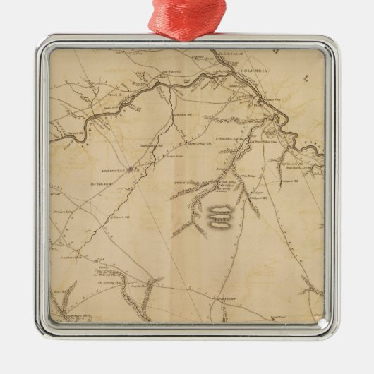 Lexington District, South Carolina Metalen Ornament (Voorkant)
