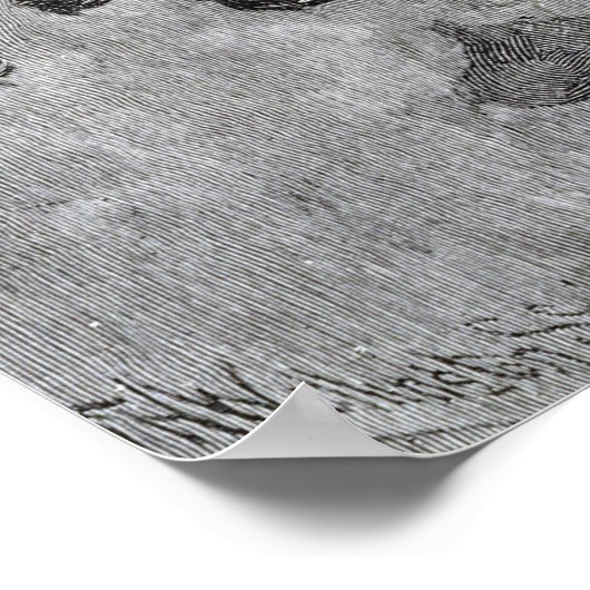 Lexington Green Poster (Hoek)