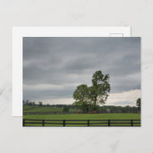 Lexington, Kentucky Briefkaart (Voorkant / Achterkant)