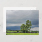 Lexington, Kentucky Briefkaart (Voorkant / Achterkant)