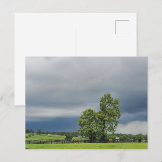 Lexington, Kentucky Briefkaart (Voorkant / Achterkant)