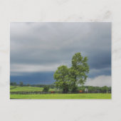 Lexington, Kentucky Briefkaart (Voorkant)