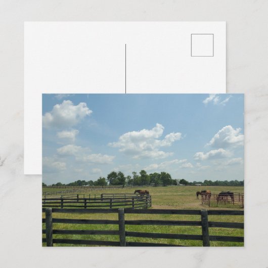 Lexington, Kentucky Briefkaart (Voorkant / Achterkant)