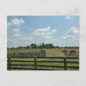 Lexington, Kentucky Briefkaart (Voorkant)