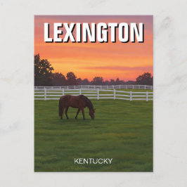 Lexington Kentucky Briefkaart Horse Sunset