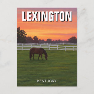 Lexington Kentucky Briefkaart Horse Sunset