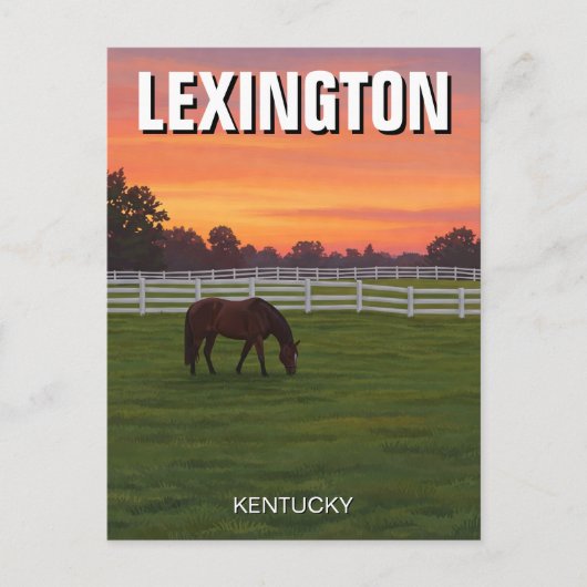 Lexington Kentucky Briefkaart Horse Sunset (Voorkant)