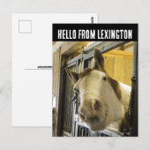 LEXINGTON KENTUCKY HORSE BRIEFKAART (Voorkant / Achterkant)