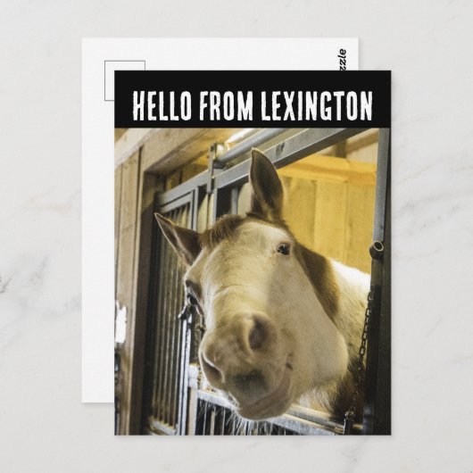 LEXINGTON KENTUCKY HORSE LACHEN GRAPPIG BRIEFKAART (Voorkant / Achterkant)