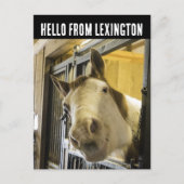 LEXINGTON KENTUCKY HORSE LACHEN GRAPPIG BRIEFKAART (Voorkant)
