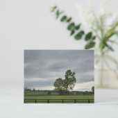 Lexington, KY Briefkaart (Staand voorkant)