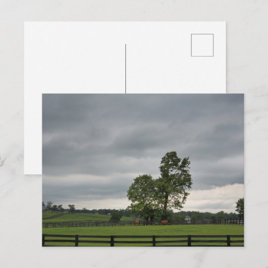 Lexington, KY Briefkaart (Voorkant / Achterkant)