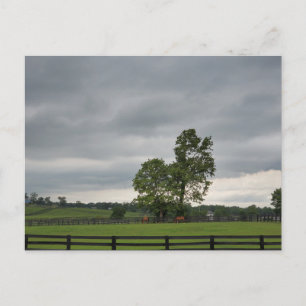 Lexington, KY Briefkaart