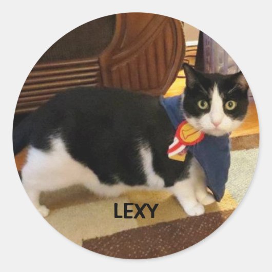 LEXY STICKER (Voorkant)