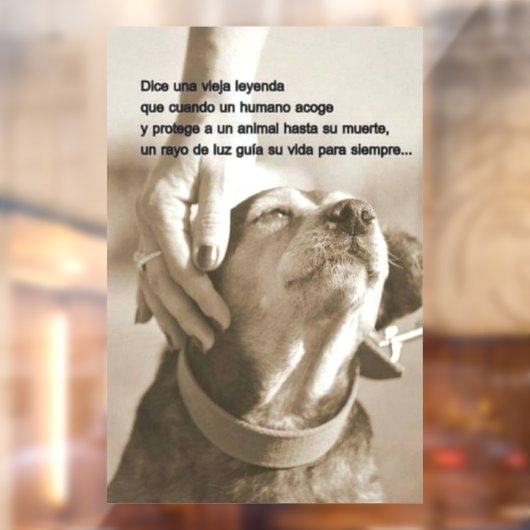 Leyenda sobre adoptar animales raamsticker (Vel 2)