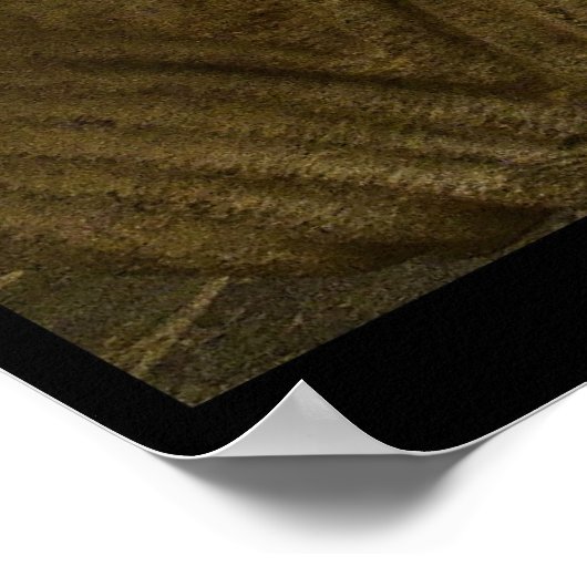 Leyre Monastery Poster (Hoek)