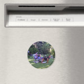Lezen in de Middagmagneet Magneet (Insitu (Vaatwasser))