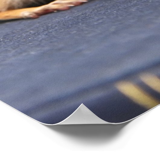 Lezen is Fun Chipmunk Poster (Hoek)