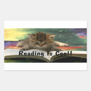 Lezen Kat Rechthoekige Sticker