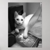 Lezen Poster (Voorkant)