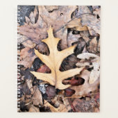 LG Planner Eikenblad (Voorkant)