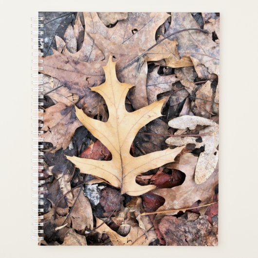 LG Planner Eikenblad (Voorkant)