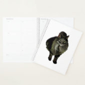 LG Planner Maine Coon Cat (Display)