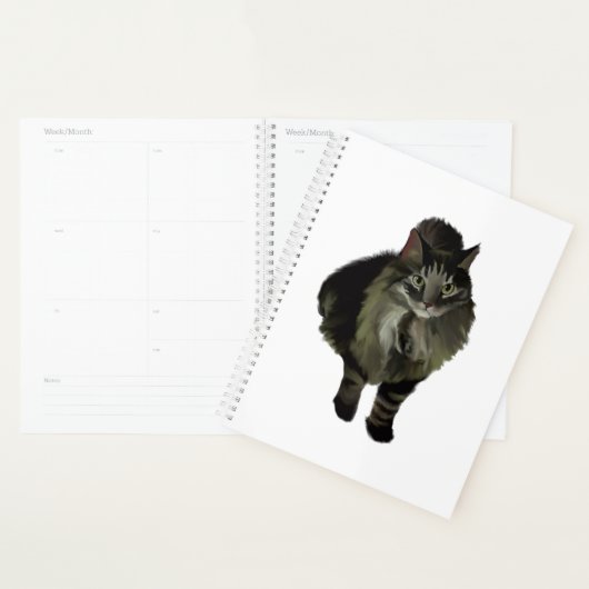LG Planner Maine Coon Cat (Display)