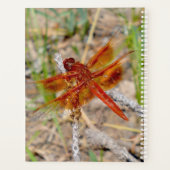LG Planner Oranje libel (Achterkant)