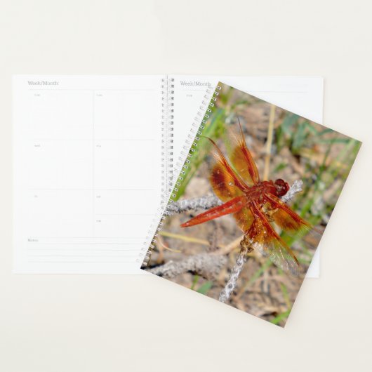 LG Planner Oranje libel (Display)