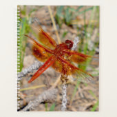 LG Planner Oranje libel (Voorkant)