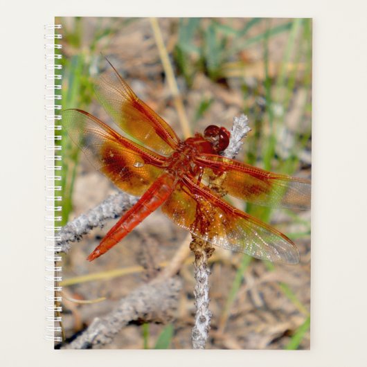 LG Planner Oranje libel (Voorkant)