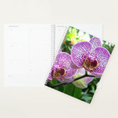 LG Planner Paarse gestreepte orchideeën (Display)