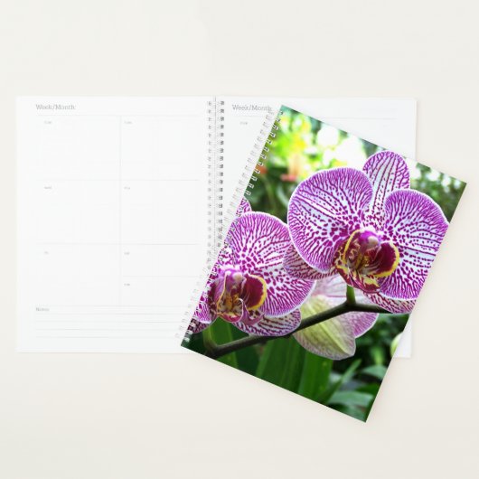 LG Planner Paarse gestreepte orchideeën (Display)