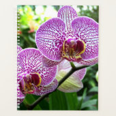 LG Planner Paarse gestreepte orchideeën (Voorkant)