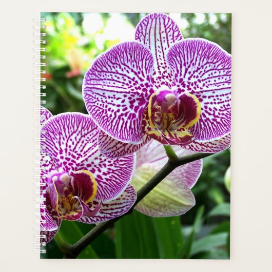 LG Planner Paarse gestreepte orchideeën (Voorkant)