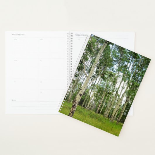 LG Planner Quaking Aspens @ Yellowstone (Display)
